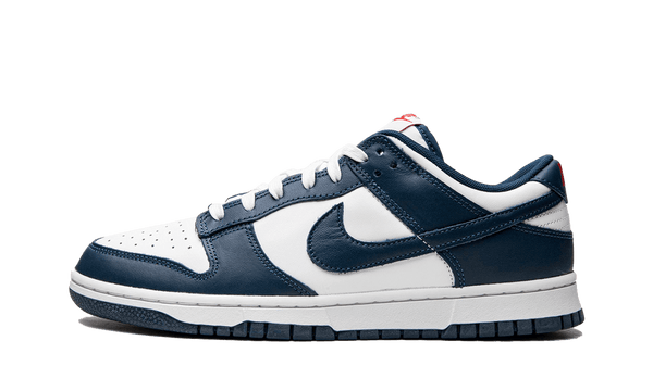 Dunk discount vinegar navy used size 10